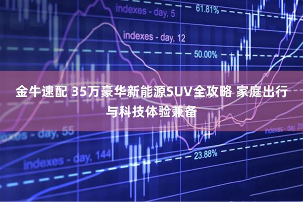 金牛速配 35万豪华新能源SUV全攻略 家庭出行与科技体验兼备