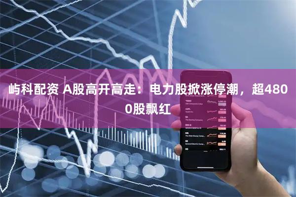 屿科配资 A股高开高走：电力股掀涨停潮，超4800股飘红