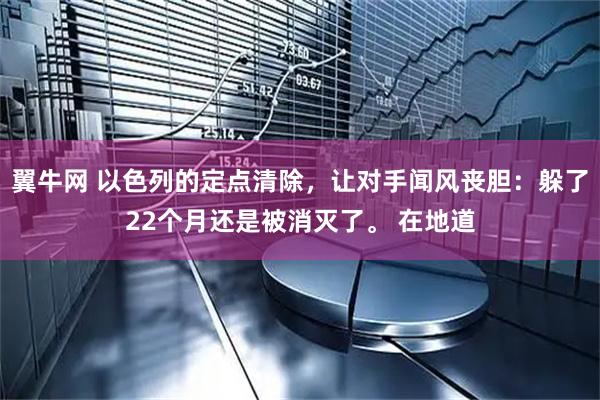 翼牛网 以色列的定点清除，让对手闻风丧胆：躲了22个月还是被消灭了。 在地道